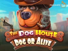 The Dog House - Dog or Alive